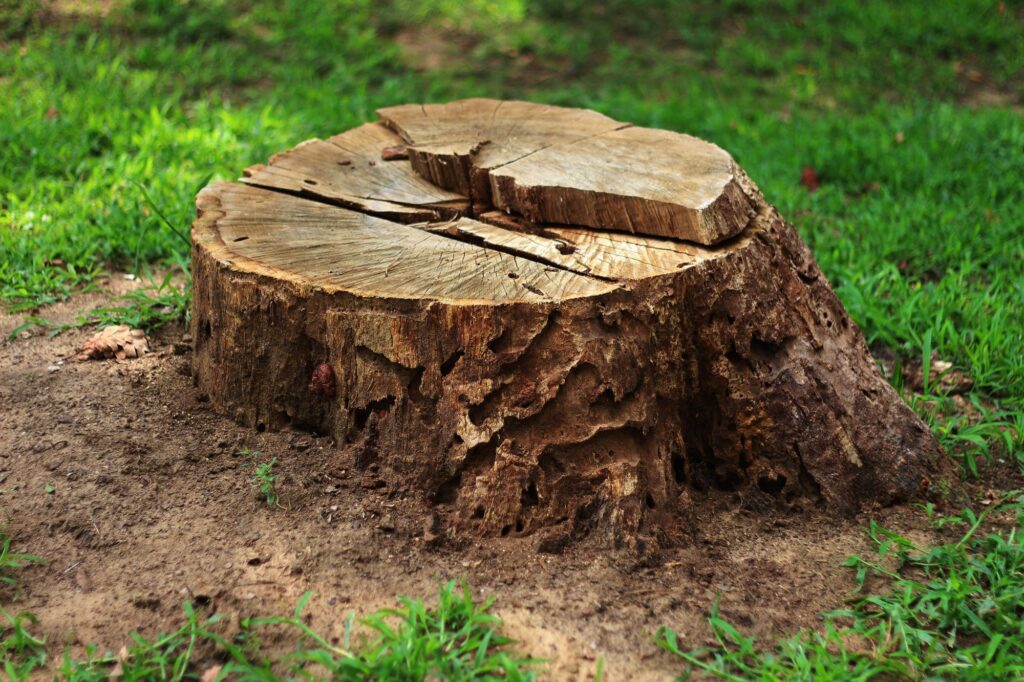 benefits-stump-grinding-service